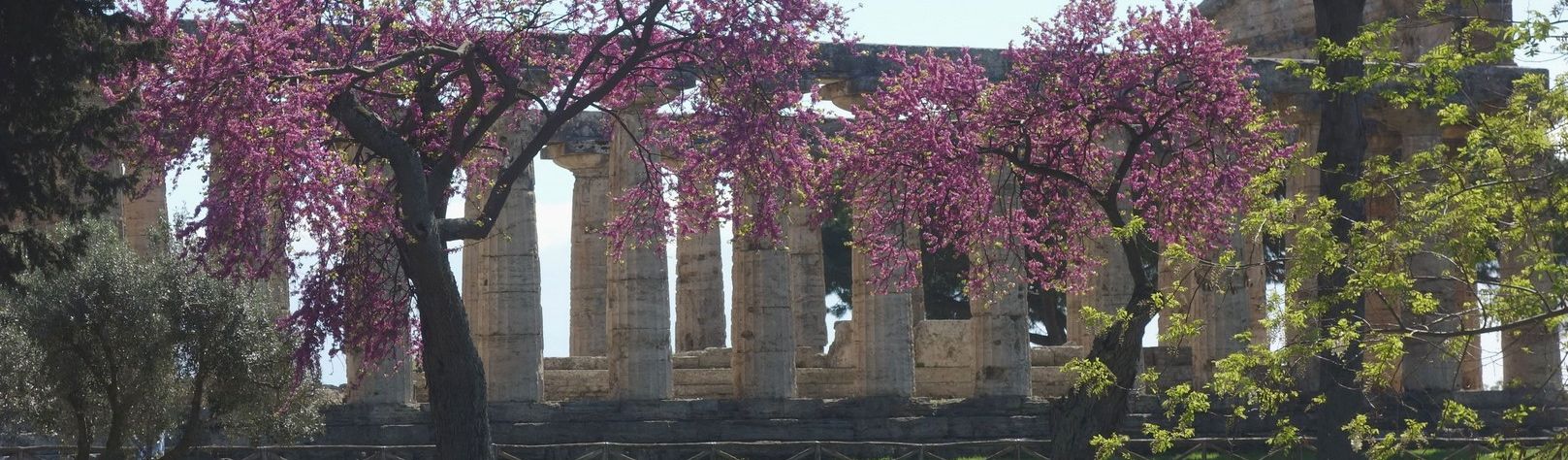 01-templi di paestum